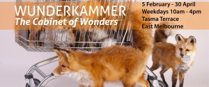 Wunderkammerbanner-weekdays960w