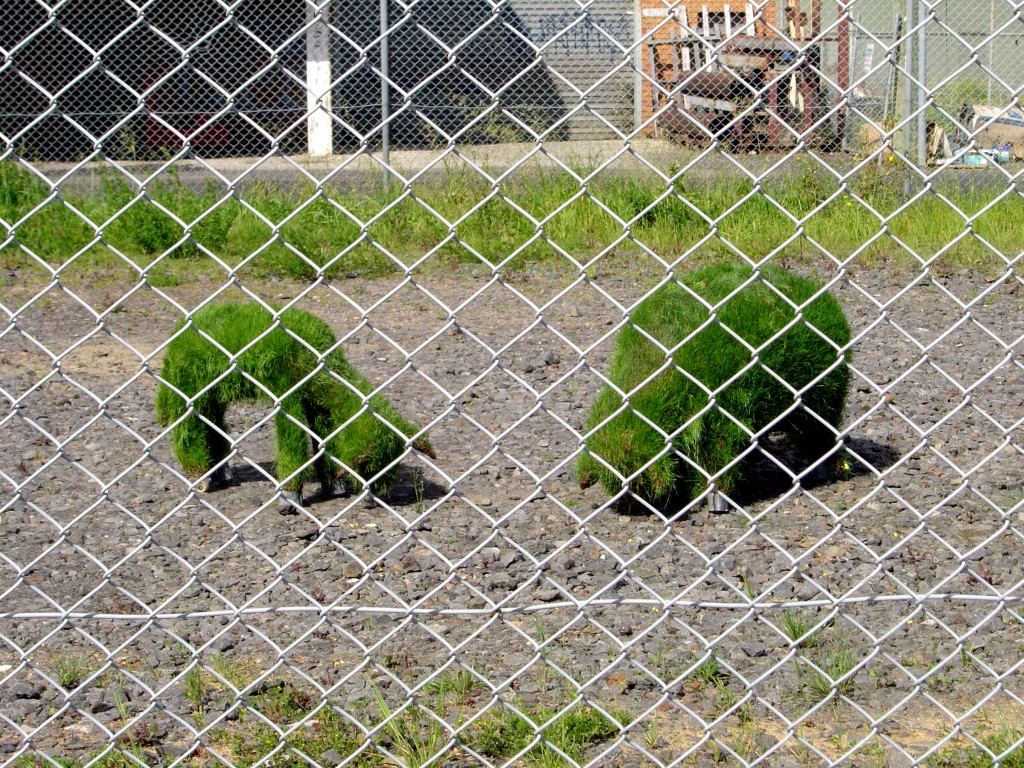 7 Candy Stevens, Landscape Gardeners, 2011 (MSH)