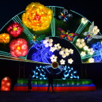 Check it out-Dandenong Festival of Lights!