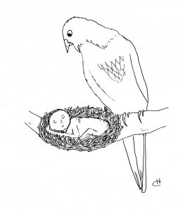 nest-illustration-friday